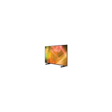 Téléviseur hôtelier Samsung HG55AU800 – 55 pouces